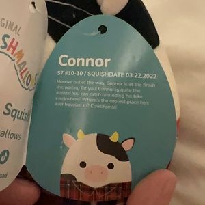 Connor the cow